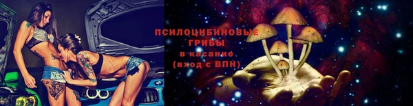 гидра Новозыбков