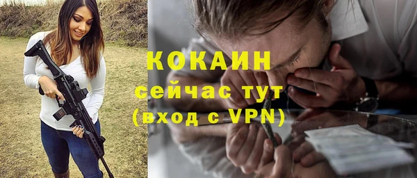 дживик Абаза