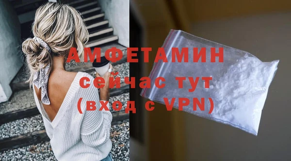 дживик Абаза
