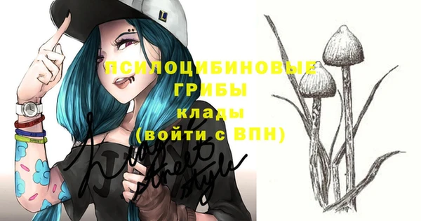 спиды Абдулино