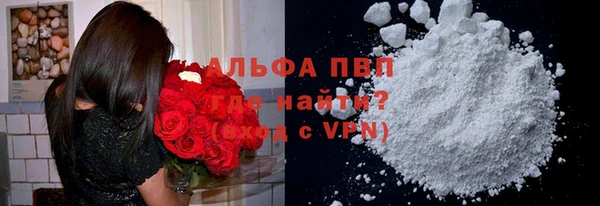 PSILOCYBIN Майский